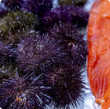 Imagen Mediana pescado-marisco