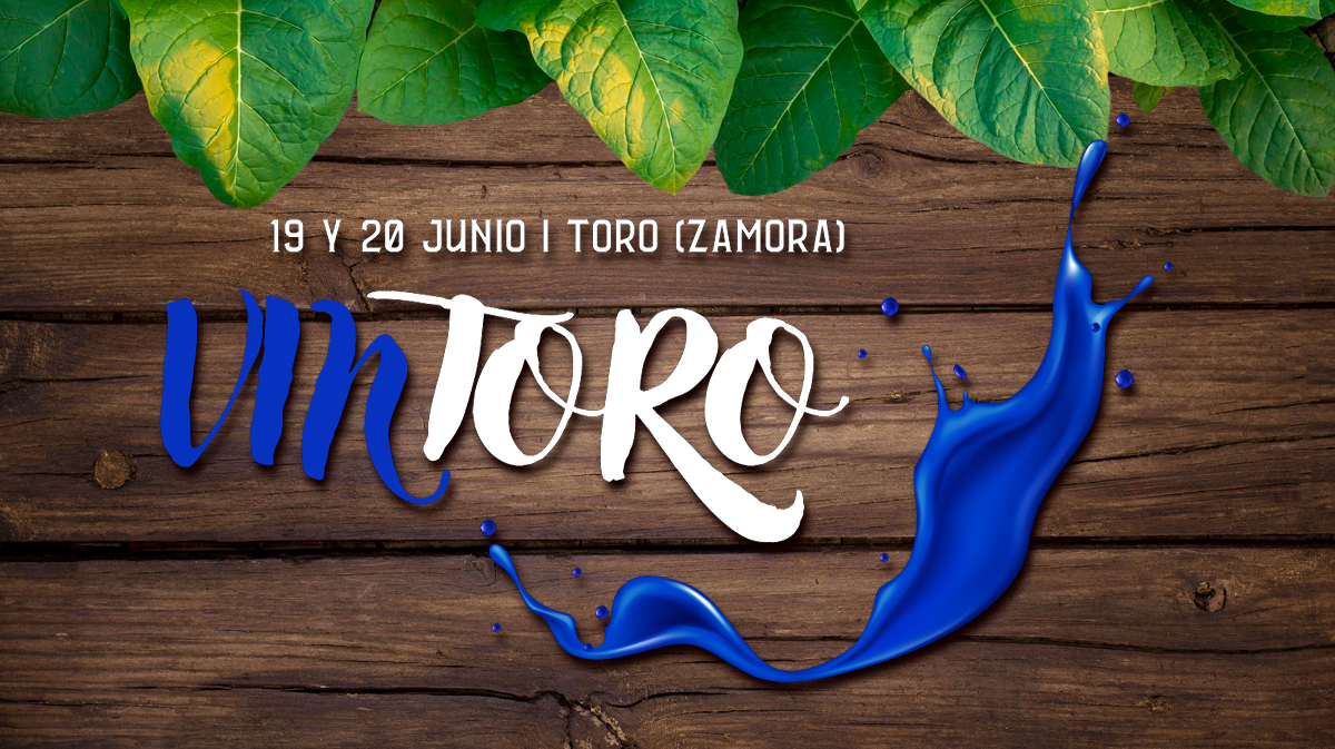 Imagen Contenido